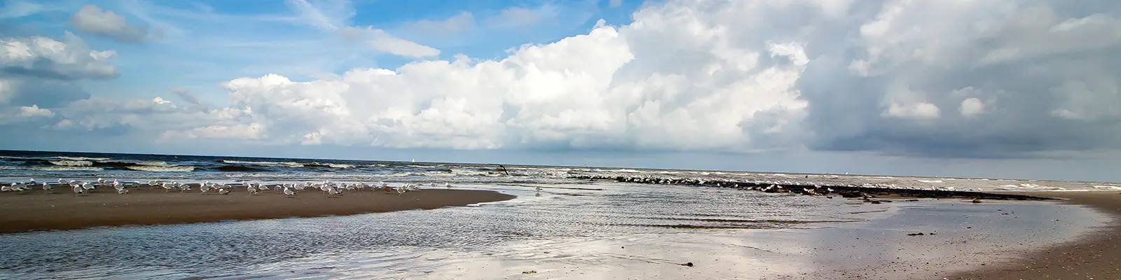 Der Strand bei BeachHouse Noordwijk AAN ZEE